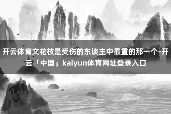 开云体育文花枝是受伤的东谈主中最重的那一个-开云「中国」kaiyun体育网址登录入口