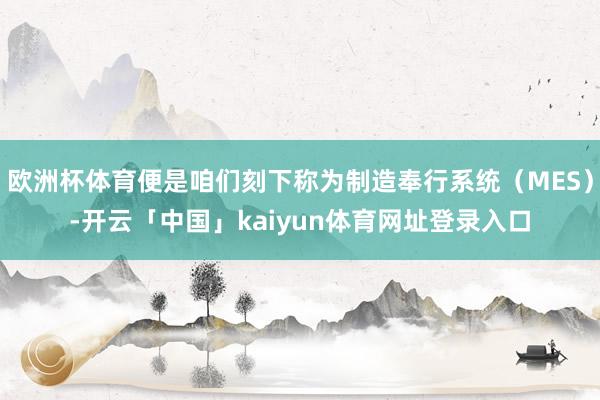 欧洲杯体育便是咱们刻下称为制造奉行系统（MES）-开云「中国」kaiyun体育网址登录入口