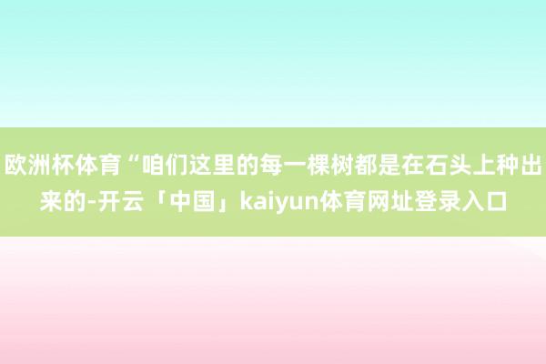 欧洲杯体育“咱们这里的每一棵树都是在石头上种出来的-开云「中国」kaiyun体育网址登录入口