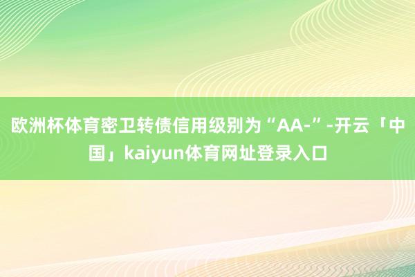 欧洲杯体育密卫转债信用级别为“AA-”-开云「中国」kaiyun体育网址登录入口