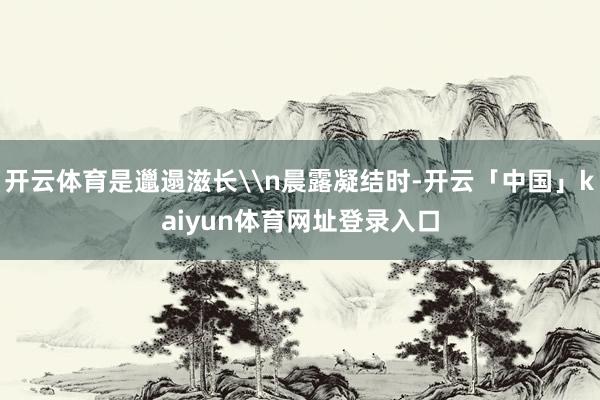 开云体育是邋遢滋长\n晨露凝结时-开云「中国」kaiyun体育网址登录入口